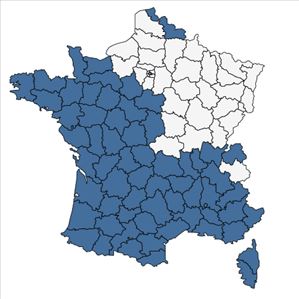 Répartition de Avena barbata Pott ex Link en France