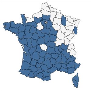 Répartition de Tuberaria guttata (L.) Fourr. en France