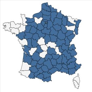 Répartition de Tulipa sylvestris L. en France