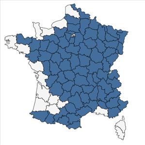 Répartition de Turritis glabra L. en France