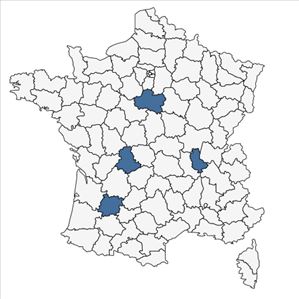Répartition de Lonicera fragrantissima Lindl. & Paxton en France