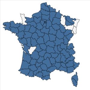 Répartition de Avena sativa L. en France