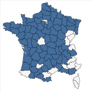 Répartition de Utricularia vulgaris L. en France