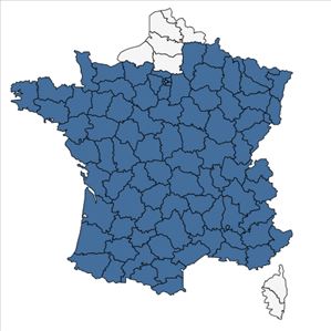 Répartition de Valeriana officinalis L. en France