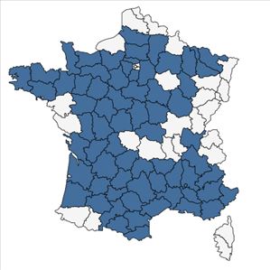 Répartition de Valerianella eriocarpa Desv. en France