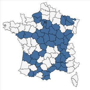 Répartition de Vallisneria spiralis L. en France