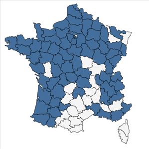 Répartition de Veronica filiformis Sm. en France