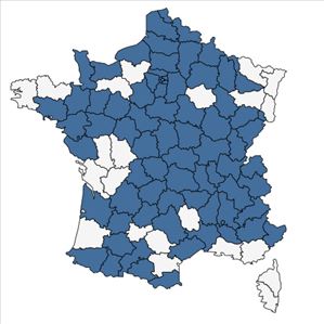 Répartition de Veronica peregrina L. en France