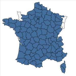 Répartition de Veronica polita Fr. en France