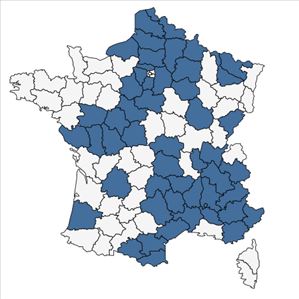 Répartition de Veronica praecox All. en France