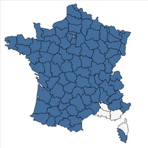 Répartition de Veronica scutellata L. en France