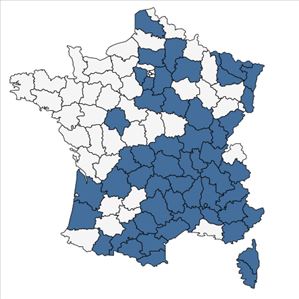 Répartition de Veronica verna L. en France