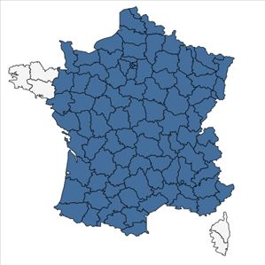 Répartition de Viburnum lantana L. en France