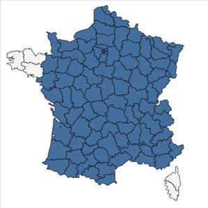 Répartition de Viburnum lantana L. en France