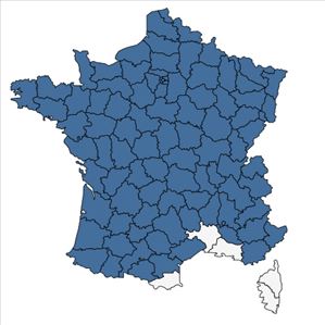 Répartition de Viburnum opulus L. en France