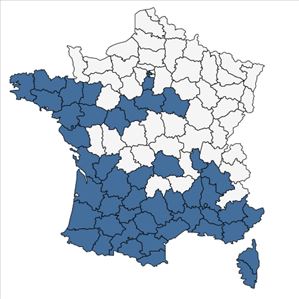 Répartition de Viburnum tinus L. en France