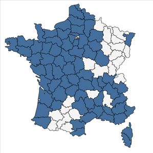 Répartition de Baldellia ranunculoides (L.) Parl. en France