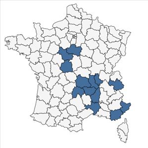 Répartition de Vicia melanops Sibth. & Sm. en France