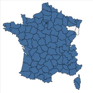 Répartition de Ballota nigra L. en France