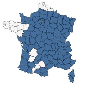 Répartition de Vicia tenuifolia Roth en France