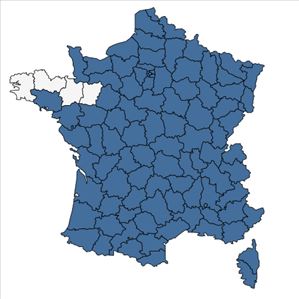 Répartition de Vincetoxicum hirundinaria Medik. en France