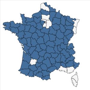 Répartition de Barbarea intermedia Boreau en France