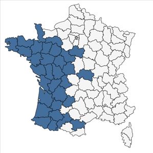 Répartition de Viola lactea Sm. en France