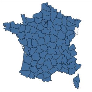 Répartition de Viola odorata L. en France