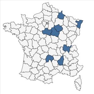 Répartition de Viola persicifolia Schreb. en France