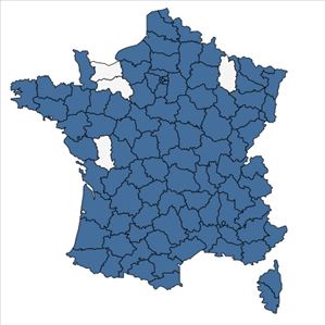 Répartition de Vitis vinifera L. en France