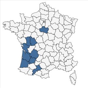 Répartition de Vulpia alopecuros (Schousb.) Dumort. en France