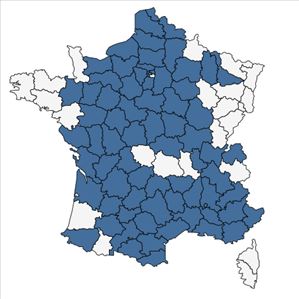 Répartition de Vulpia unilateralis (L.) Stace en France