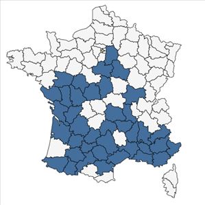 Répartition de Xeranthemum cylindraceum Sm. en France