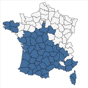 Répartition de Serapias lingua L. en France