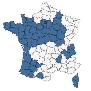 Répartition de Taraxacum campylodes G.E.Haglund en France