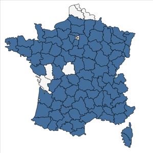 Répartition de Abies alba Mill. en France