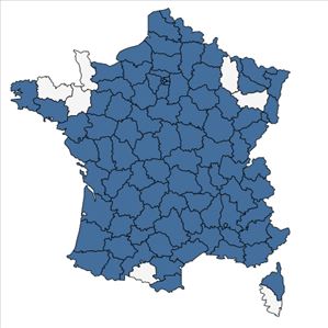 Répartition de Acer negundo L. en France