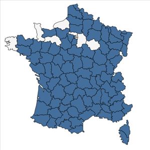 Répartition de Agrostemma githago L. en France