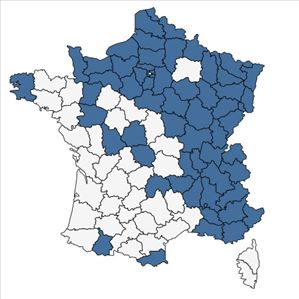 Répartition de Alnus incana (L.) Moench en France