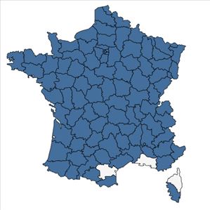 Répartition de Alopecurus pratensis L. en France