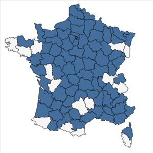 Répartition de Berberis aquifolium Pursh en France