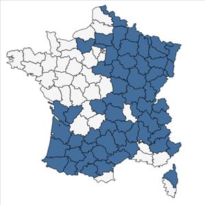 Répartition de Anemone ranunculoides L. en France