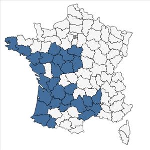 Répartition de Arenaria montana L. en France