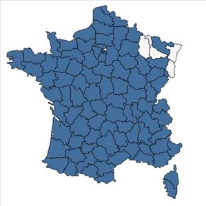 Répartition de Asplenium ceterach L. en France
