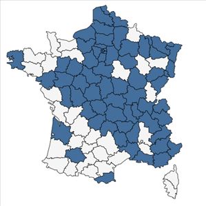 Répartition de Berteroa incana (L.) DC. en France