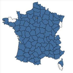 Répartition de Bromus commutatus Schrad. en France