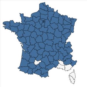 Répartition de Caltha palustris L. en France