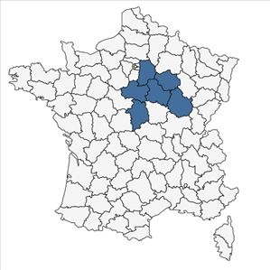 Répartition de Rosa subcollina (H.Christ) Vuk. en France