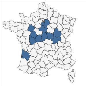 Répartition de Ulmus carpinifolia Gled. en France