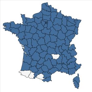 Répartition de Campanula rapunculus L. en France
